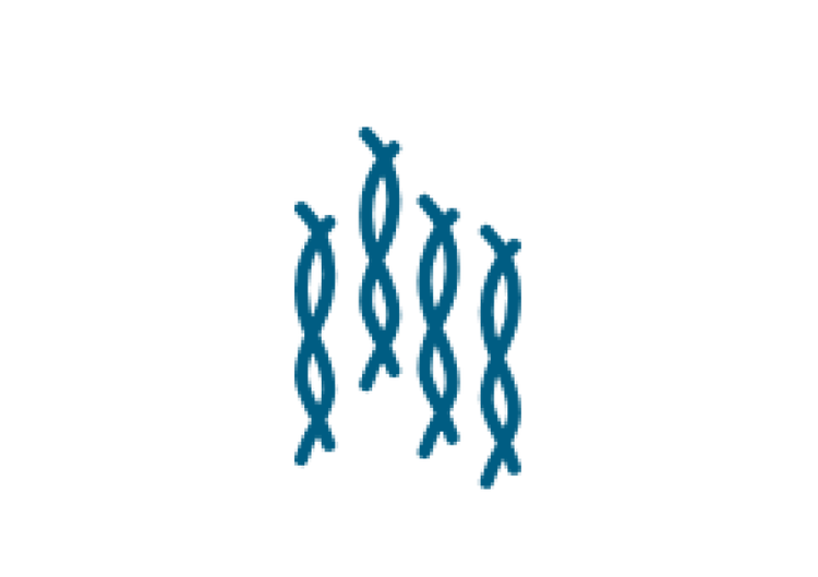 Illustration depicting strands of protein called amyloid fibrils that can build up in the body