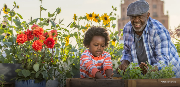 Actor portrayal of a grandfather gardening with his grandchild