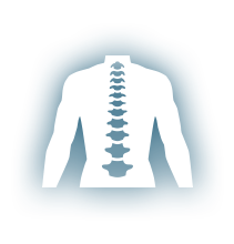 backbone