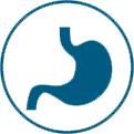 stomach image
