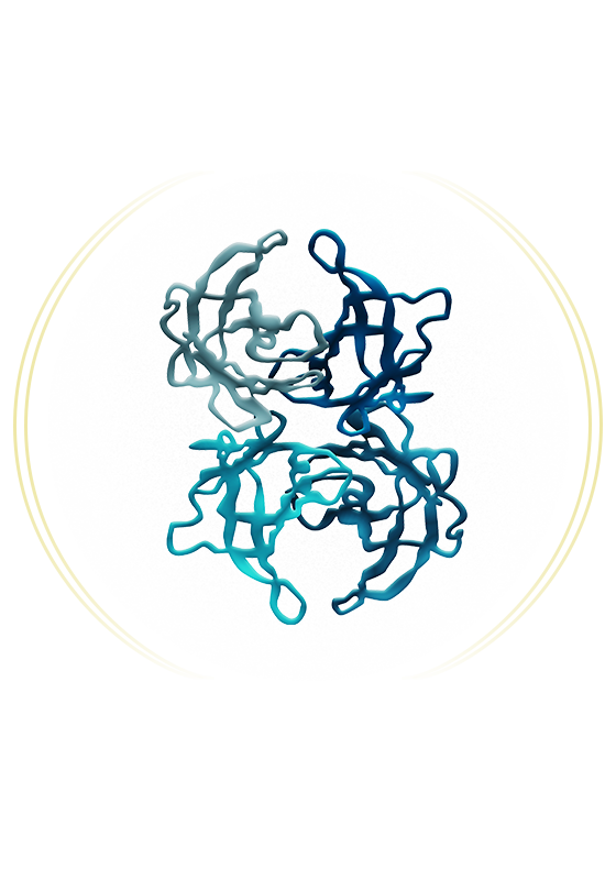 AMYLOIDOSIS
