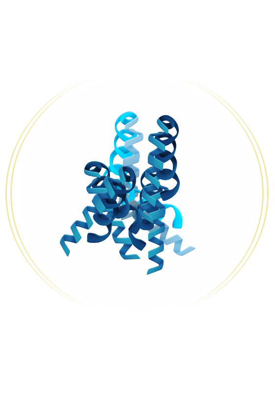 AMYLOIDOSIS